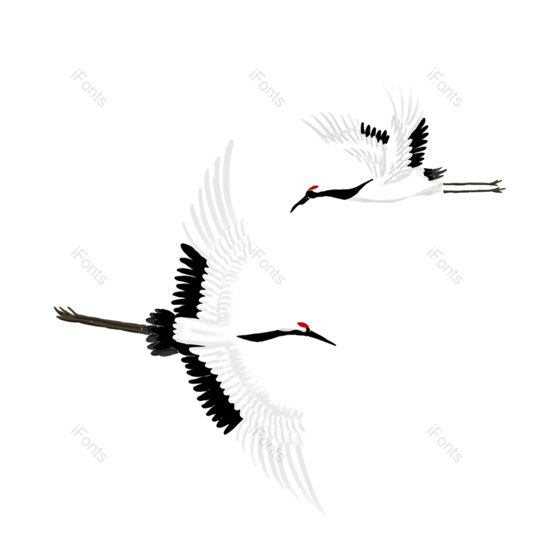 仙鹤图片,飞鸟元素,动物PNG,免抠素材